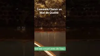 Miniature : "Comment Choisir un Miel de Qualité : Guide Pratique"