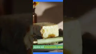 Miniature : "Les Bienfaits de l'Huile de Jojoba : Un Trésor pour la Peau et les Cheveux"