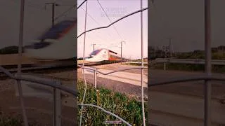 Miniature : Passage à très grande vitesse d'un TGV LYRIA, au pk155, Moulins-en-Tonnerrois, le 11 Juillet 2025!!!
