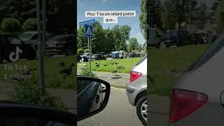 Miniature : À Rotterdam les oies utilise aussi le passage piétons 😅 #humour #pourtoi #funny