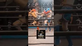 Miniature : TMT FIGHTDAY #23 - Watch the whole replay over at the member section 🔥⚔️🔥