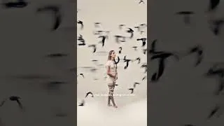 Miniature : Ils s’enfuient quand même 🐦‍⬛