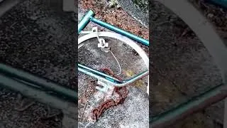 Miniature : viens faire un tour sur ma chaîne d'enquête paranormal