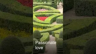 Miniature : The Mysterious Symbolism Behind the Formal French Garden at the Chateau de Villandry