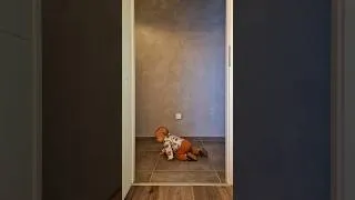 Miniature : From crawling to walking in 1 year