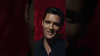 Miniature : Elvis Presley - Because Of Love ❤️UHD❤️ (1962)