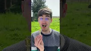 Miniature : Deux FOUS jouent aux ECHECS ! - LE SHORTERREUR