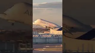 Miniature : Airbus Beluga final take-off from Toulouse Blagnac #airbusbeluga #aviation