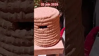 Miniature : Test de la ruche en paille #beehive #bee #biodiversity