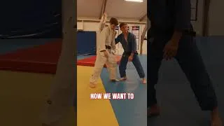 Miniature : Judo Seoi Entry Set Up
