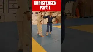Miniature : Spin entry for Judo