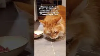Miniature : Déjà 8 ans d’alimentation maison !