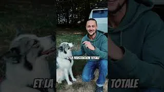 Miniature : Tu connais ce moment où tu tombes sur un spot de bivouac incroyable… #vanlife #roadtrip #campervan