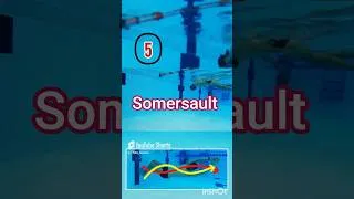 Miniature : #swimmingpool