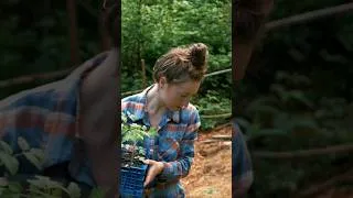 Miniature : Intro - Graine de friche