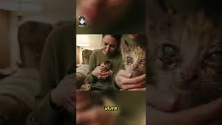 Miniature : À 4 semaines, aveugle et abandonnée : le miracle de Omi PARTIE 1