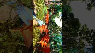 Miniature : Balade Relaxante dans la Nature | Avatar Frontiers of Pandora #avatarfrontiersofpandora #asmr