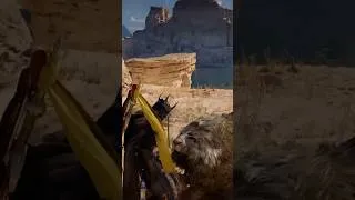 Miniature : Lion calme #crimsondesertgameplay