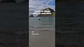 Miniature : Alors ? 🇳🇴🌊#norvege #lofoten #hauklandbeach #hauklandstranda #plage #nature