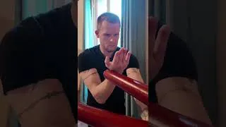 Miniature : initiation au tao du mannequin de bois #kungfu #wingchun #artsmartiaux #selfdefense