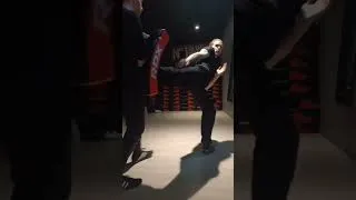 Miniature : entraînement sur les coups de pieds au bouclier 🛡 #martialarts #selfdefense #sports