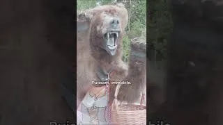 Miniature : T'as peur des ours ?