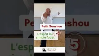 Miniature : Petit Sanshou, l’esprit du simple fouet n°5