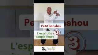Miniature : Petit Sanshou, l’esprit du simple fouet n°3