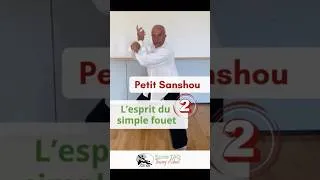 Miniature : Petit Sanshou, l’esprit du simple fouet n°2