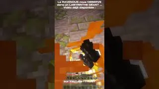 Miniature : IL est PARTOUT lui #minecraft #mods #fromthefog