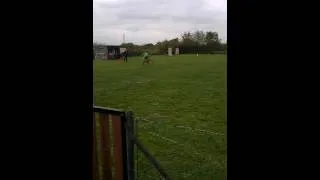 Miniature : Concour de chien (Agility)
