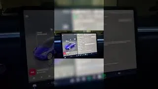 Miniature : Astuce Tesla: Comment connaître précisément ce qu'a consommé le mode Sentinelle ?