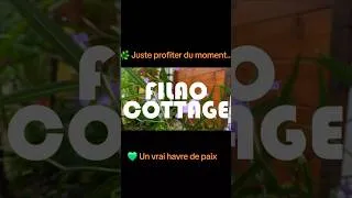 Miniature : Guadeloupe 🇬🇵 Ce logement est un véritable havre de paix 🌴#guadeloupe #filaocottage #travelvlog