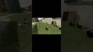 Miniature : Mes Poules