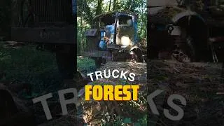 Miniature : Abandoned trucks in the forest #urbex #collection #abandoned