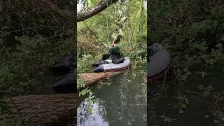 Miniature : 📌 session extrême en float tube. #fishing #float #pêche #arbre #friends