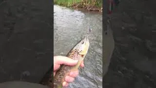 Miniature : Une touche à ne pas louper! #fishing #fish