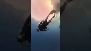 Miniature : 🌊 MOMENT DIVING - Épisode 14 🐟🤣 LE SAUMON DU PALIER !