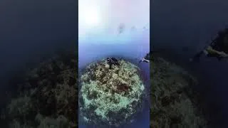 Miniature : 🌊 MOMENT DIVING - Épisode 12 🧘‍♂️✨ ZEN AVEC MA NOUVELLE STAB XDEEP !