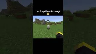 Miniature : Incroyable ce qu'ils ont fait aux loups Minecraft #minecraft #wolf