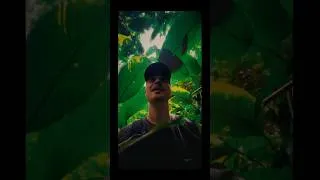 Miniature : Perdu dans la jungle !