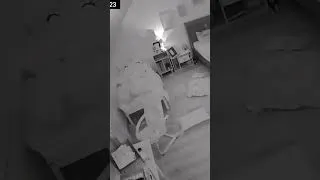 Miniature : La lumière scintille toute seule… Personne dans la chambre. Explication ? Phénomène paranormal.