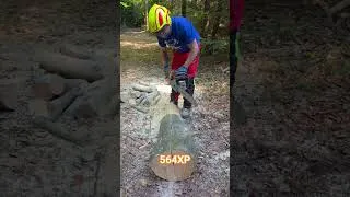 Miniature : Husqvarna 564 XP de la bombe  !!!