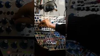 Miniature : buchla 200 #synth #modularsynth #synthesizer #electronicmusic #musicproducer #homestudio  #music