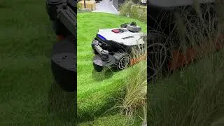 Miniature : 🌿 Le robot tondeuse Mammotion Luba 4 AWD à l'assaut des bordures !  #tondeuserobot