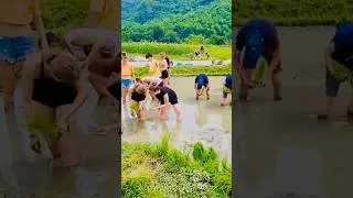 Miniature : Voyage scolaire au Vietnam #tonkinvoyage #voyagevietnam #séjour