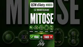 Miniature : QCM d'Anty #0033 / Mitose #biologie  #pass #las #médecine