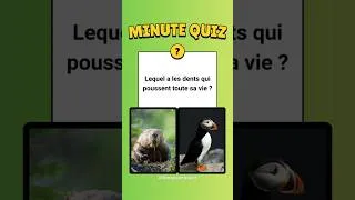 Miniature : 🧠🔥Quiz : Lequel des deux animaux ?🐒#culturegenerale #quiz #animaux
