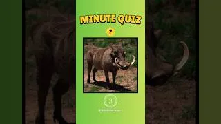 Miniature : 🧠🔥Mini quiz : 3 sec pour retrouver les animaux ! 🐒#culturegenerale #quiz #animaux