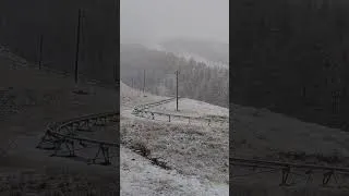 Miniature : Il neige à la foux d'Allos ❄️🌨️
